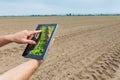 Smart agriculture. Farmer using tablet Soy planting. Modern Agriculture concept. Royalty Free Stock Photo