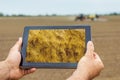 Smart agriculture. Farmer using tablet Wheat planting. Modern Ag