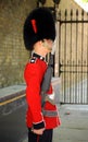 Smart as a Guardsman. Royalty Free Stock Photo