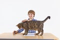 Smart boy with his cat Royalty Free Stock Photo