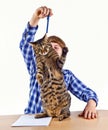 Smart boy playing with his cat Royalty Free Stock Photo