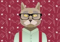 Smart cat, with glasses,scientist , pattern science, student, flat Royalty Free Stock Photo