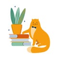 Smart cat is a literary fan. Cat likes to read and learning. Favorite pet. Funny cartoon kitten with a bow around its neck sits