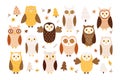 Smart curious owl and owlet forest bird cute birdie character with different plumage drawing set
