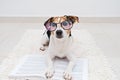 Smart cute dog lying with open book in eyeglasses