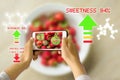 Smart Device Augmented Reality Food Ripeness Checking Royalty Free Stock Photo