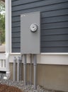 Smart electric utility meter and panel