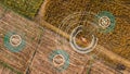 Aerial view above harvest corn on agricultural field using combine harvester machine