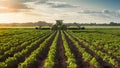 Smart farm of the future robotics and modern technology redefine agricultural practices