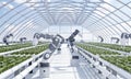 Smart farm with robot hands growing and harvesting vegetables in greenhouse with sky background. Innovative technology and Royalty Free Stock Photo