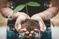 Smart Farm or World Eco Green Earth Concept, Closeup of Woman Hand is Holding Tree Seeding on Her Hands With Agriculture Smart