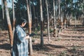 Smart farmer agriculturist Rubber tree plantation