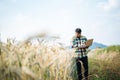 Smart farmer checking barley farm with laptop