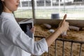 Smart farmer with tablet showing thumbs up sign hands in organic farm pig. Agriculture and livestock industry