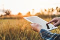 Smart farming Agricultural technology and organic agriculture Woman using the research tablet and studying the development