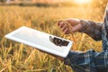 Smart farming Agricultural technology and organic agriculture Woman using the research tablet and studying the development Royalty Free Stock Photo