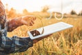 Smart farming Agricultural technology and organic agriculture Woman using the research tablet and studying the development of rice