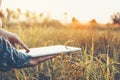 Smart farming Agricultural technology and organic agriculture Woman using the research tablet and studying the development of rice Royalty Free Stock Photo