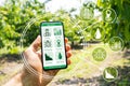 Smart Farming Digital Technology Agriculture App Royalty Free Stock Photo