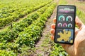 Smart Farming Digital Technology Agriculture App Royalty Free Stock Photo