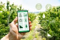 Smart Farming Digital Technology Agriculture App Royalty Free Stock Photo