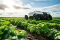 Smart farming evolution: A visual exploration of the technological essence reshaping agriculture Royalty Free Stock Photo