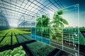 Smart Farming. greenhouse with rows of plants. Automated Farming Systems: The implementation of robotics, artificial