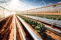 Smart Farming. greenhouse with rows of plants. innovations and technologies in agriculture. generative ai.