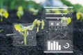 Smart farming with IoT, futuristic agriculture concept