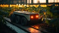 Smart Farming Robot Sorting Through Crops with Advanced Technology in Greenhouse Environment Royalty Free Stock Photo