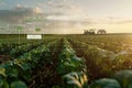 Smart farming technology in soybean field: Tractors equipped with advanced systems at sunrise Royalty Free Stock Photo
