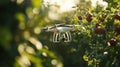 Smart farming technology using AI-powered drones and automated irrigation systems