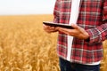 Smart farming using modern technologies in agriculture. Man agronomist farmer with digital tablet computer in wheat Royalty Free Stock Photo