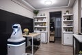 smart home, with robot butler and artificial intelligence system, that helps residents get their daily tasks done