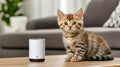 Smart home security camera rests on a table while a curious cat explores the cozy room with soft cushions in the Royalty Free Stock Photo