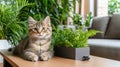 Smart home security camera rests on a table while a curious cat explores the cozy room with soft cushions in the Royalty Free Stock Photo