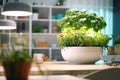 Smart indoor garden system. Growing your own herbs and greenery in apartment. Close-up. Generative Ai content