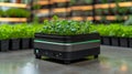 Smart Indoor Herb Garden with Advanced Hydroponic Technology, Modern Urban Farming. modern eco-technologies