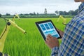 Smart industry robot 4.0 agriculture concept,industrial agronomist,farmer using Artificial intelligence technology in tablet to mo Royalty Free Stock Photo