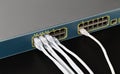 Smart lan switch with 24 ethernet and gbic optical ports Royalty Free Stock Photo