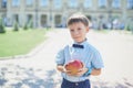 Smart little schoolboy in shirt and butterfly