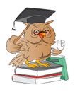 Smart Owl Graduate, illustration