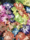 Smart phone image of different colored daisies in a bunch