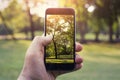 Smart phone in my hands Royalty Free Stock Photo