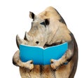 Smart rhino reading a book front view isolated on white