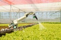 Smart robotic in agriculture futuristic concept, robot farmers automation must be programmed to work to spray chemical,fertilizer Royalty Free Stock Photo