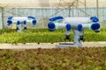 Smart robotic in agriculture futuristic concept, robot farmers automation must be programmed to work in the vertical or indoor f