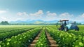 Smart robotic farmers in agriculture futuristic robot automation to work to spray chemical fertilizer or increase efficiency Royalty Free Stock Photo