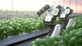 Smart Robotic Farmers Revolutionizing Agriculture. created with Generative AI