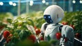 Smart robotic farmers strawberry in agriculture futuristic robot automation to work or increase efficiency